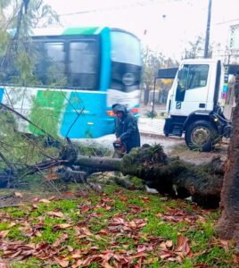 WhatsApp Image 2025-06-14 at 13.38.30 (1)