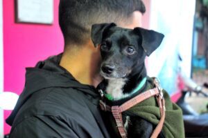 WhatsApp Image 2025-06-19 at 12.19.26