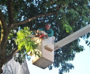 WhatsApp Image 2025-06-23 at 10.16.36 (1)