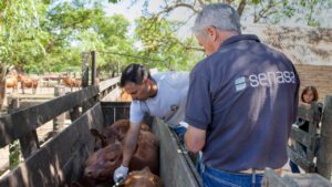 WhatsApp Image 2025-06-26 at 12.55.24 (1)