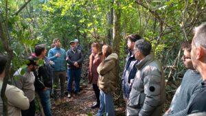 WhatsApp Image 2025-06-27 at 11.38.50