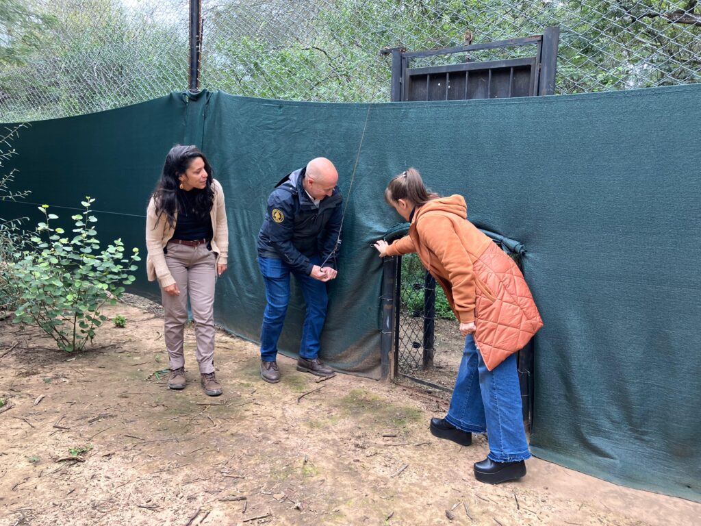 WhatsApp Image 2025-06-28 at 10.22.58