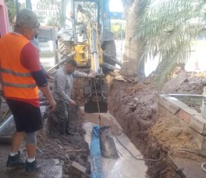 WhatsApp Image 2025-06-28 at 19.57.56