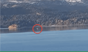 un-nuevo-avistamiento-de-nahuelito-volvio-a-BUB6J4T5MBCQRP52C7ORVILO7Q