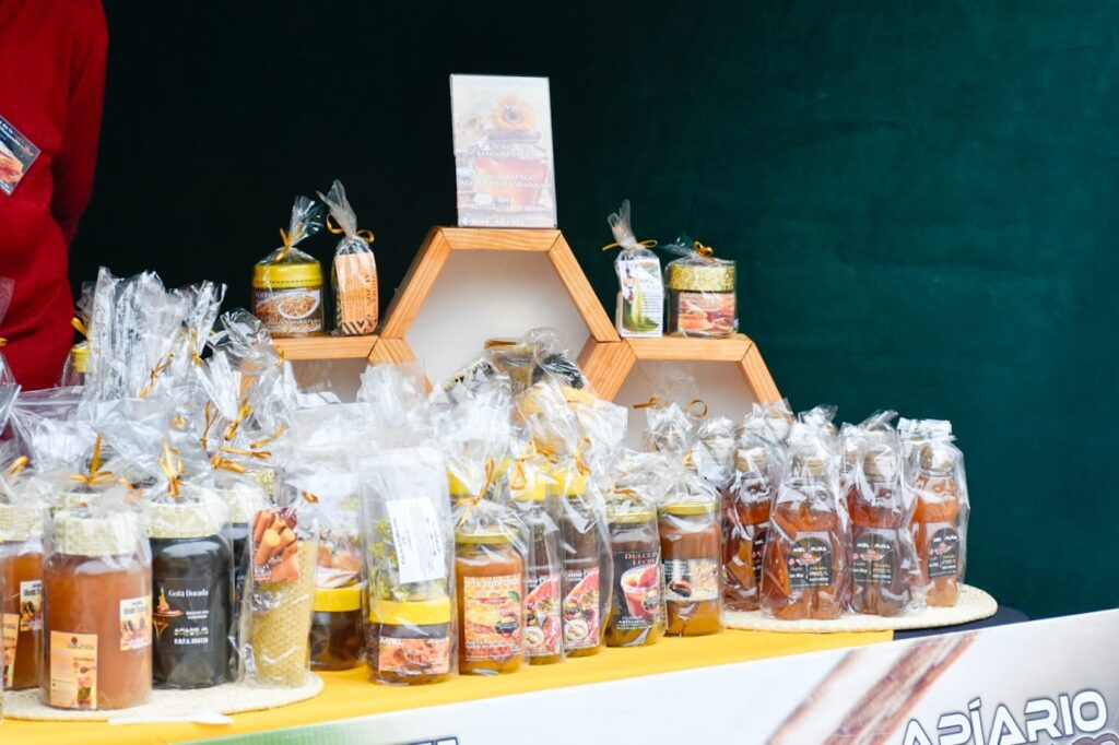 514270548_1034665185507402_6916414529057609983_n