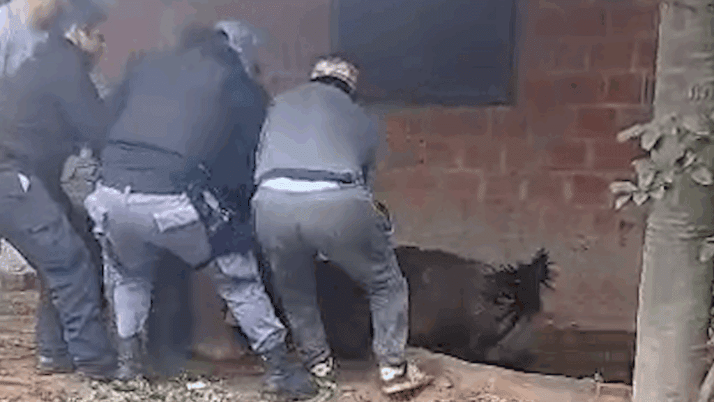 Secuencia 02.00_00_02_11.Imagen fija004