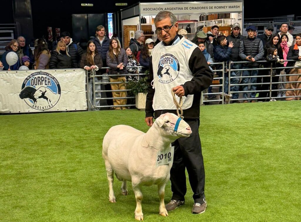 WhatsApp Image 2025-07-23 at 14.08.40