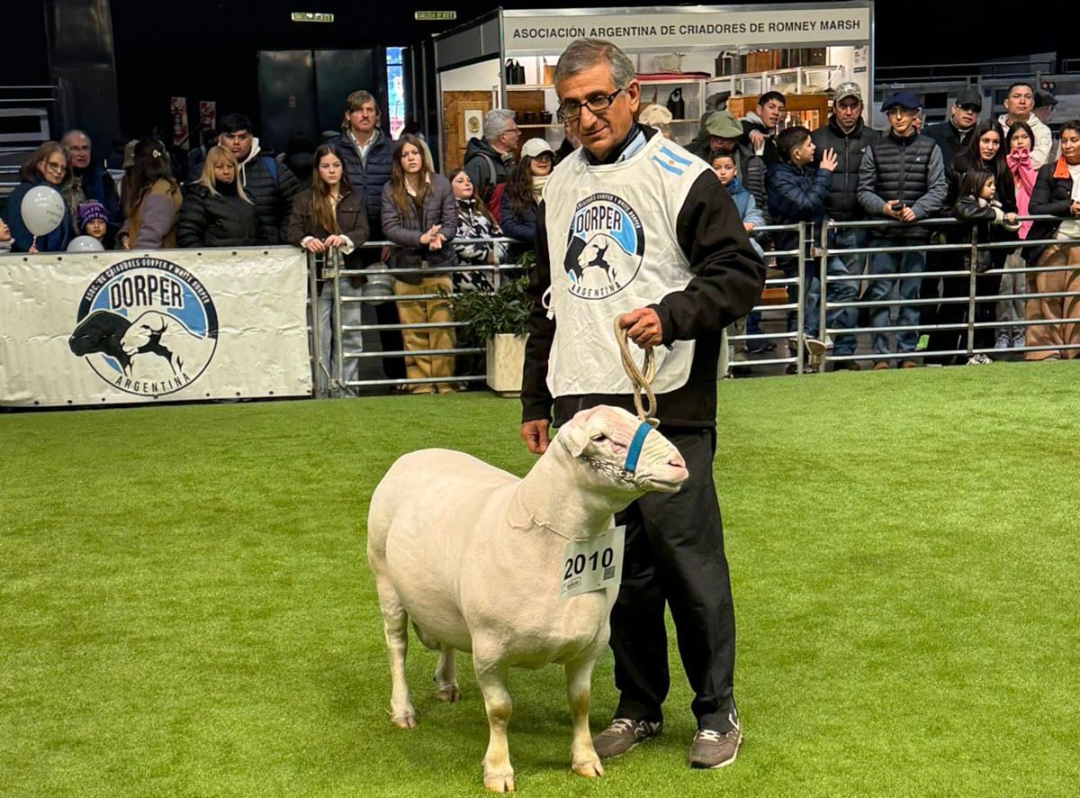 Chaco Celebra Un Nuevo Triunfo Ganadero En La Expo Rural 2025 - Primero ...
