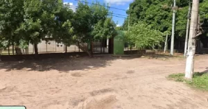 1442325w790h413c.webp
