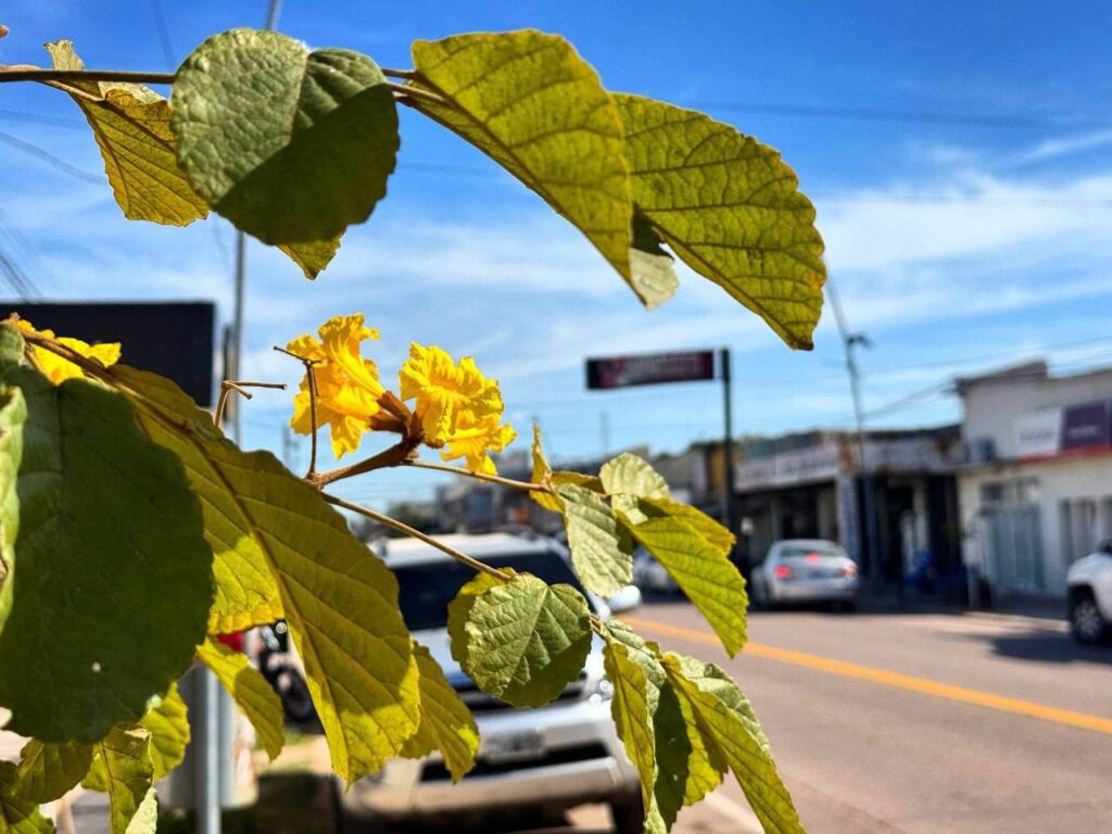 535392445_1099997618940822_610905215360802526_n