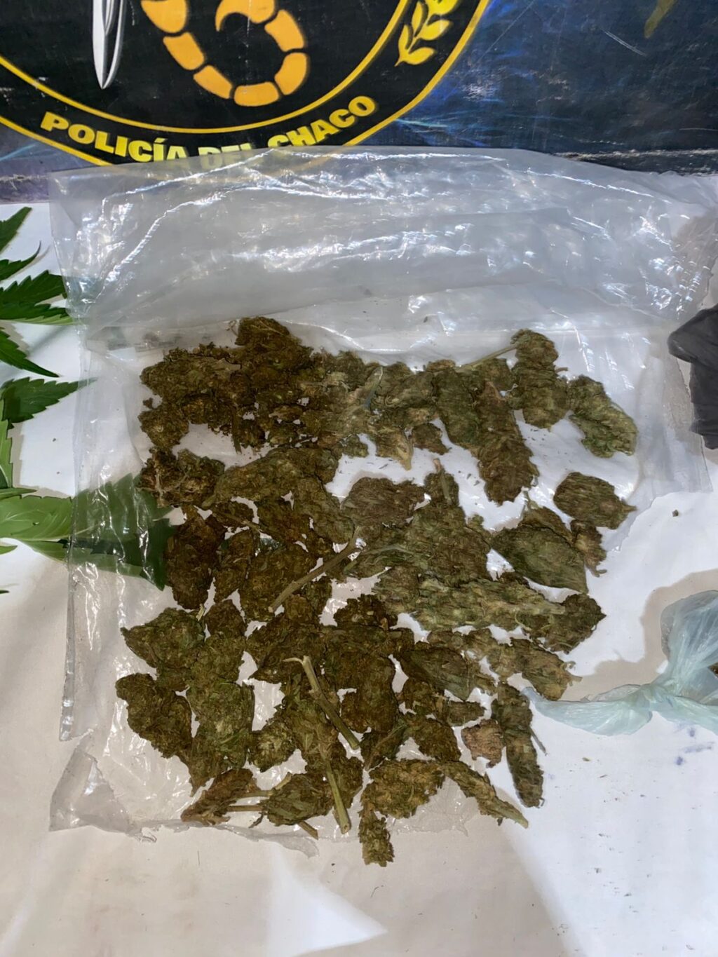 WhatsApp Image 2025-08-22 at 19.10.42 (1)