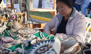 48°-Feria-de-Artesania-Aborigen-Chaquena-1-780x470 (1)