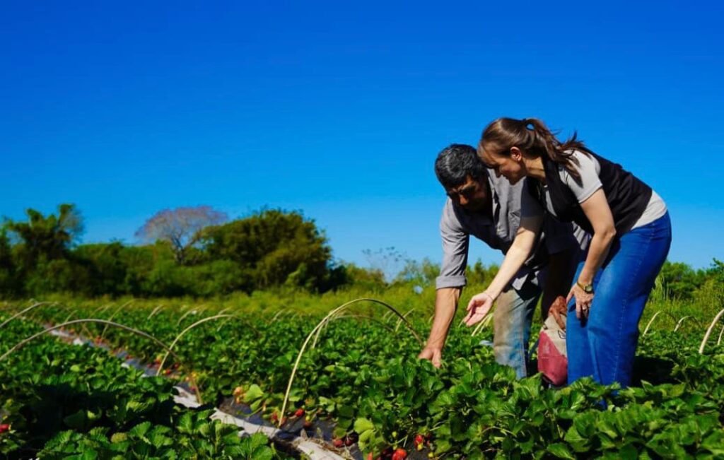 WhatsApp Image 2025-09-27 at 09.27.36