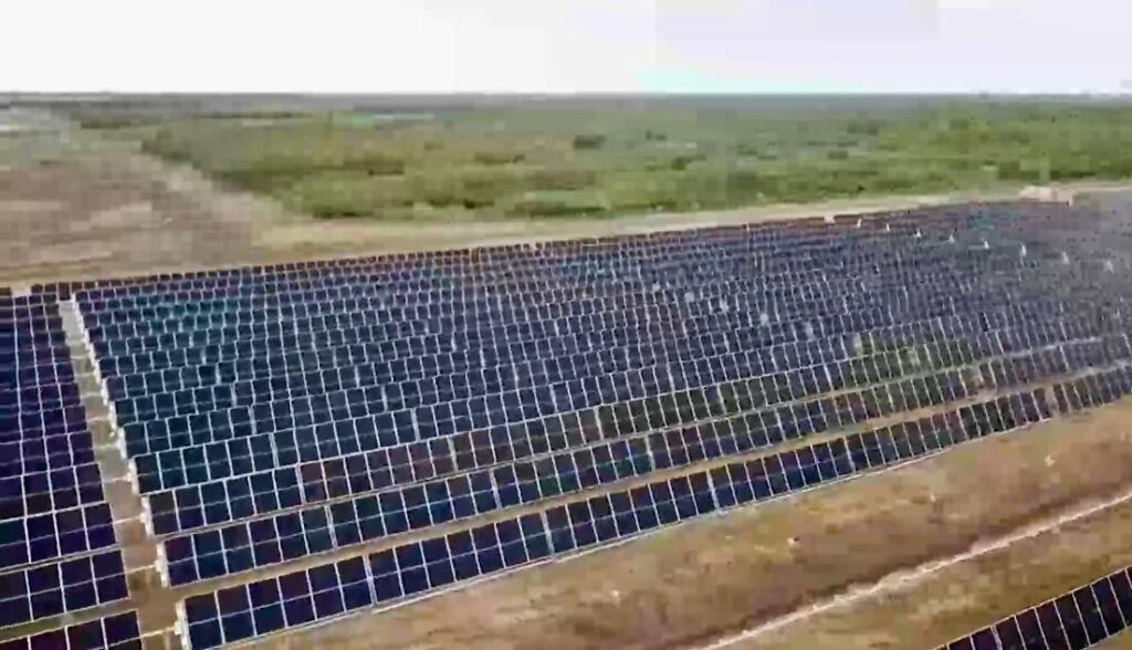 WhatsApp Image 2025-09-29 at 22.07.53