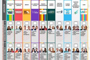 Elecciones-BUP-Chaco2-1