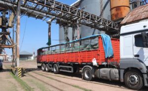 WhatsApp Image 2025-10-15 at 20.13.25 (1)