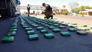 WhatsApp Image 2025-10-20 at 13.48.43 (1)