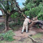 Vialidad Provincial trabaja en Colonia Benítez, tras el temporal