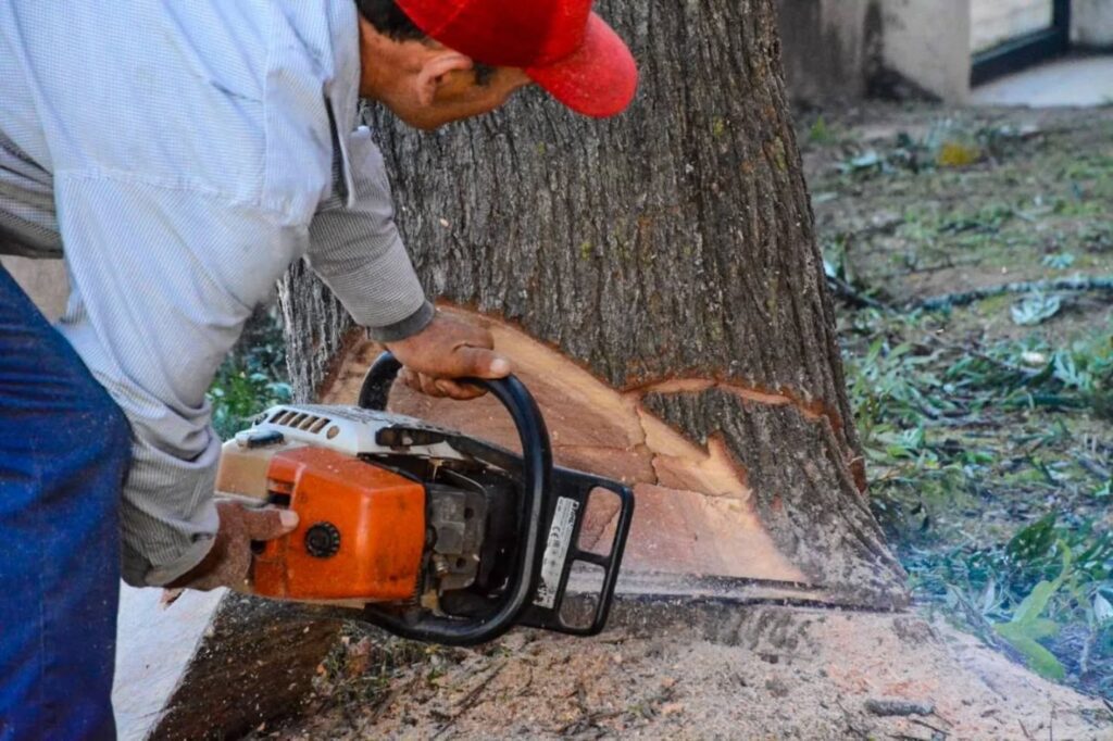 571399388_17932810497103998_4742568744784059159_n