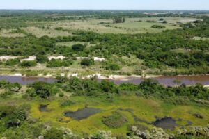 ENREA-Destacan-la-importancia-de-preservar-y-recuperar-los-humedales-del-Parana-1024x682