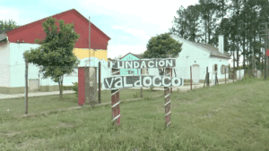 Secuencia 02.00_00_00_00.Imagen fija008