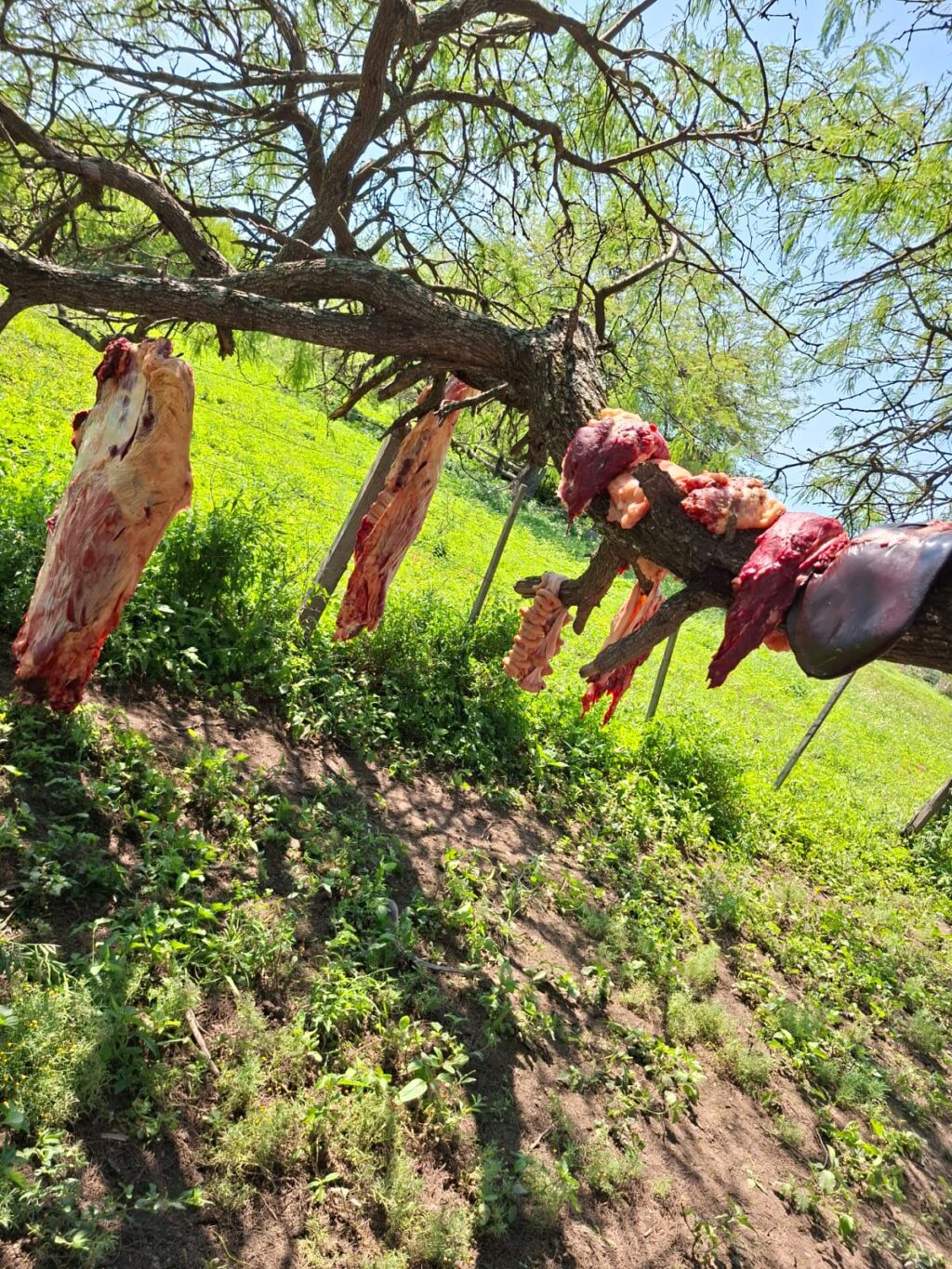 WhatsApp Image 2025-11-04 at 12.39.06