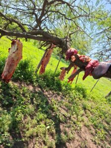 WhatsApp Image 2025-11-04 at 12.39.06