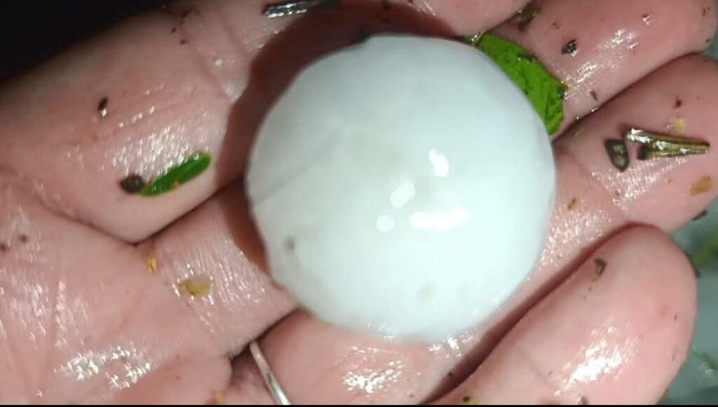 WhatsApp-Image-2025-11-05-at-00.22.19