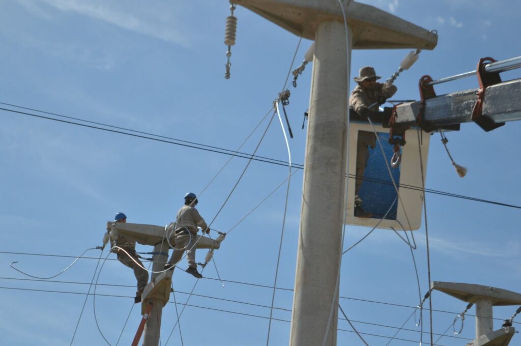 WhatsApp Image 2025-11-11 at 19.46.13