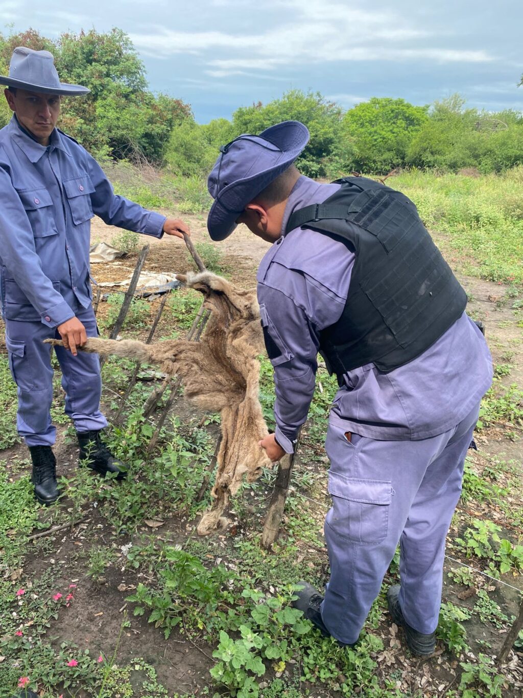 WhatsApp Image 2025-11-13 at 12.58.17