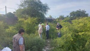 WhatsApp Image 2025-11-13 at 18.19.31