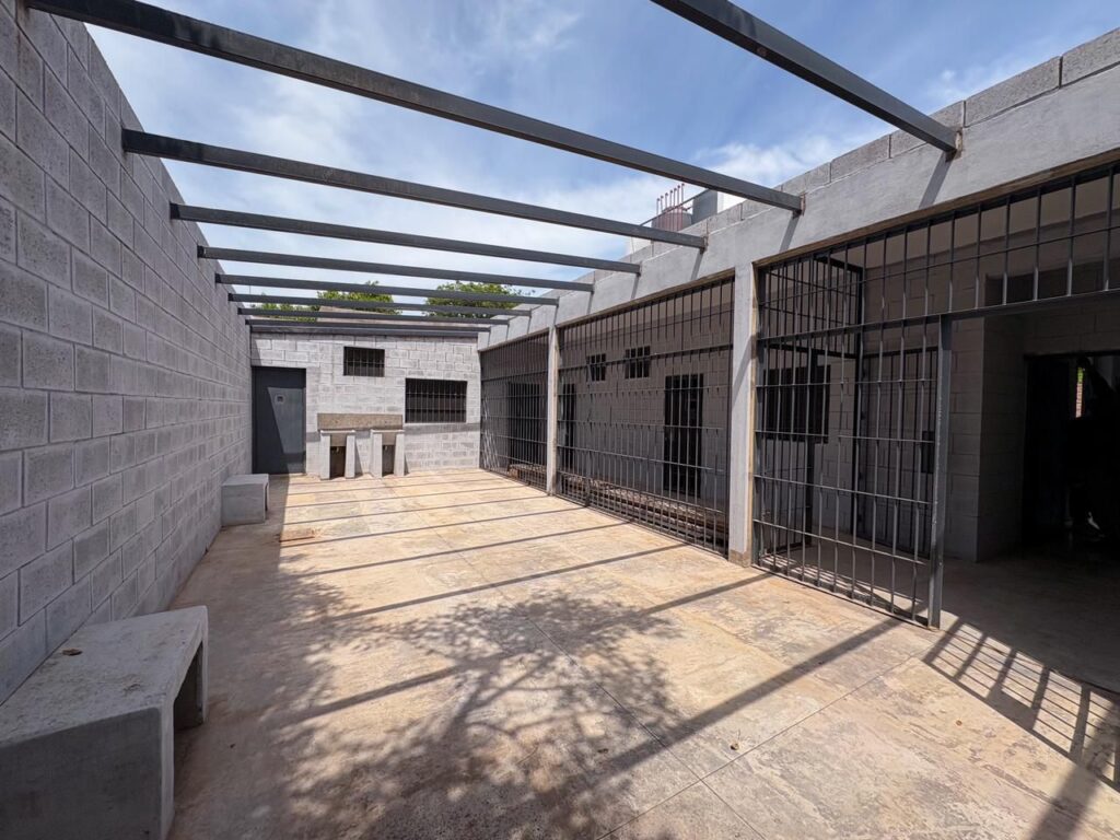 WhatsApp Image 2025-11-14 at 19.31.05