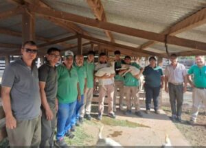 WhatsApp Image 2025-11-25 at 11.15.18