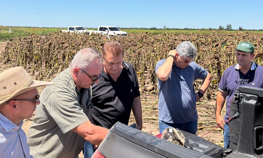 WhatsApp-Image-2025-11-27-at-10.12.30