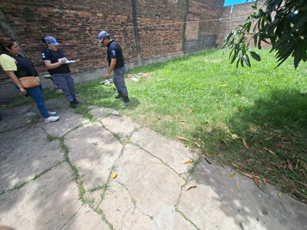 WhatsApp Image 2025-11-29 at 17.39.42
