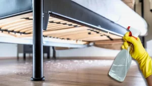 rociar-vinagre-abajo-la-cama