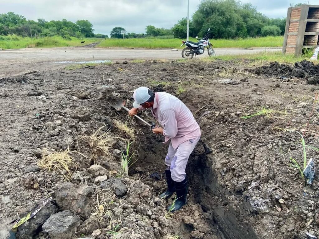 590411383_18331207924243095_1511152282467491695_n