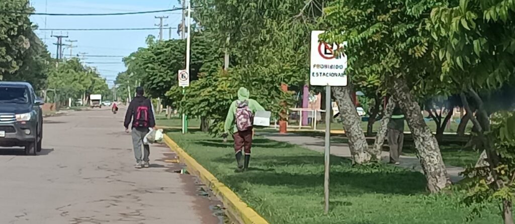 600488676_872049045581029_3485840749026852928_n