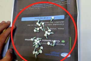 ComisariaSaenzPena-DrogaDic2025