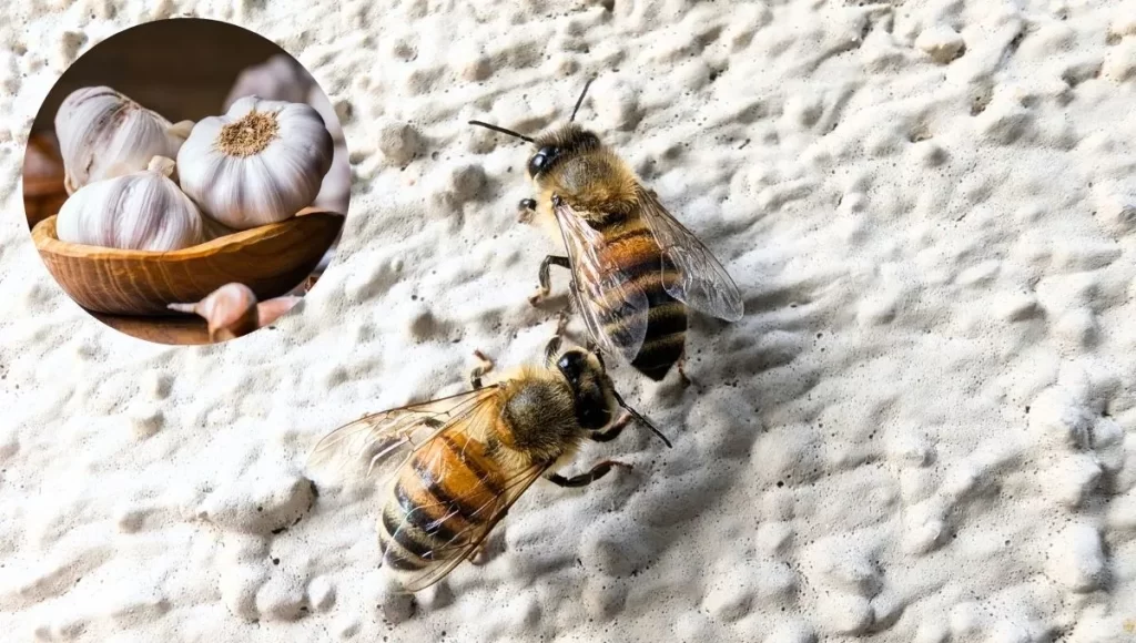 abejas-ajo-repelente