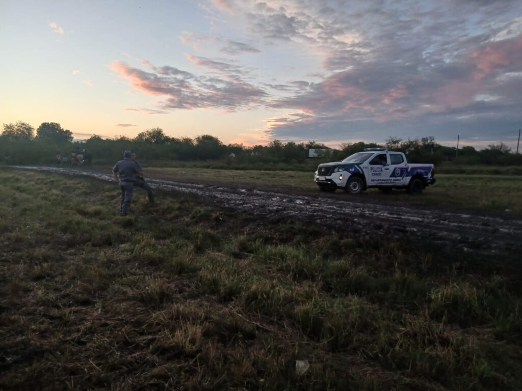 d7b78ca1-a93d-4a66-8667-510a3d1d0997