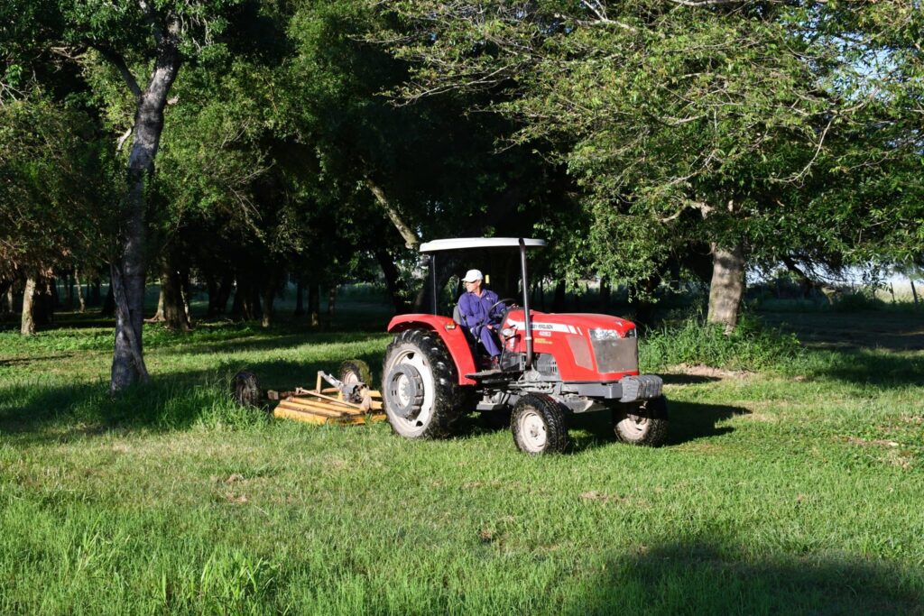 617145632_1427510528737088_8402412814235712464_n