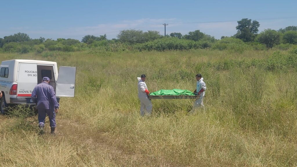 WhatsApp Image 2026-01-30 at 16.28.25