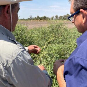 e7a0dd13-d0a9-4215-a613-f6f263fc1417