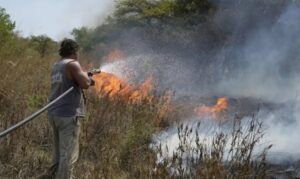 incendios-corrientes-1316645
