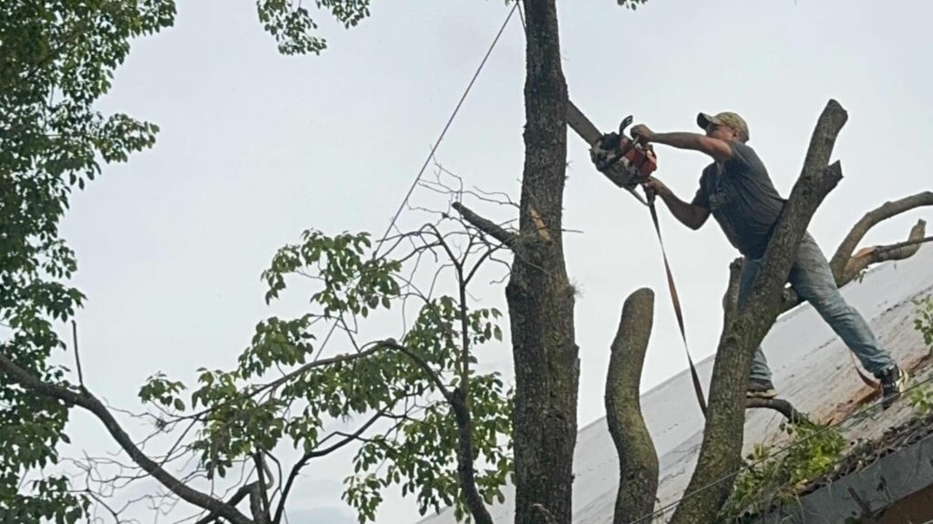 640239182_18102831451859224_4817860728677249859_n