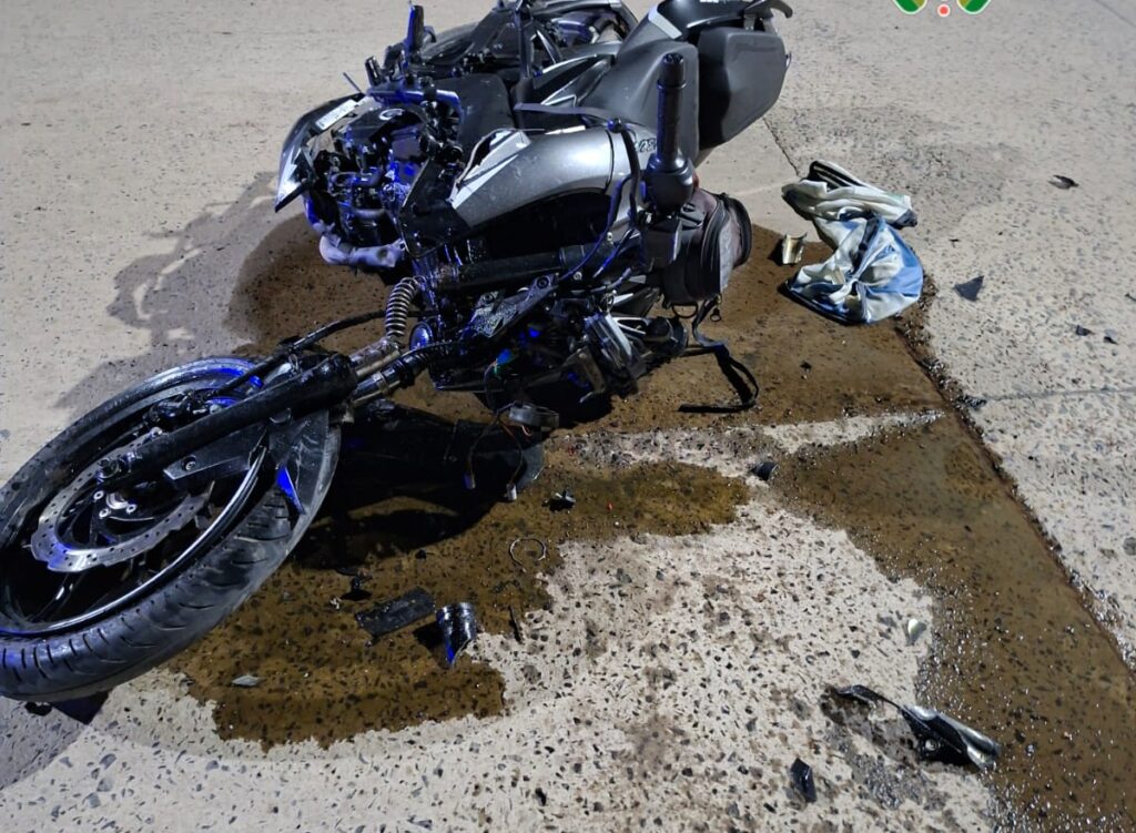 WhatsApp Image 2026-02-14 at 18.55.18