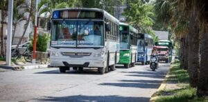 colectivos