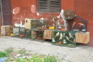389766-jpg_nota