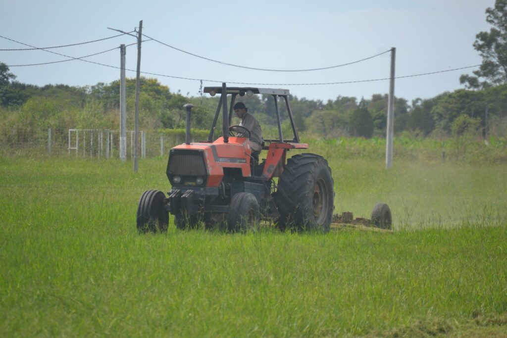 649349467_122270119124167730_9067806740360699332_n